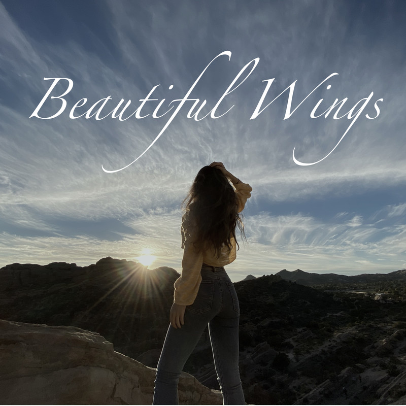 BeautifulWings.jpg